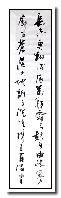 鱼翔浅底