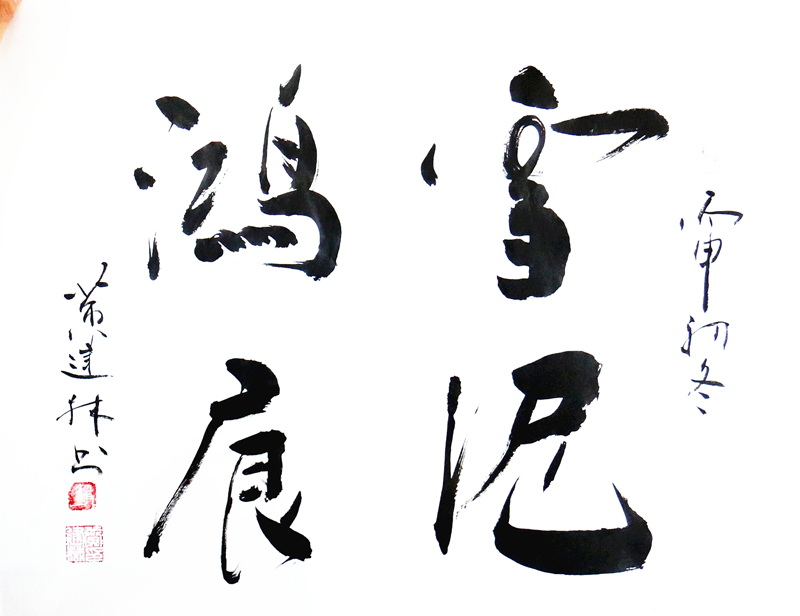《雪泥鸿痕》