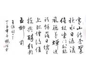 书法礼包