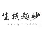 王博书法礼包