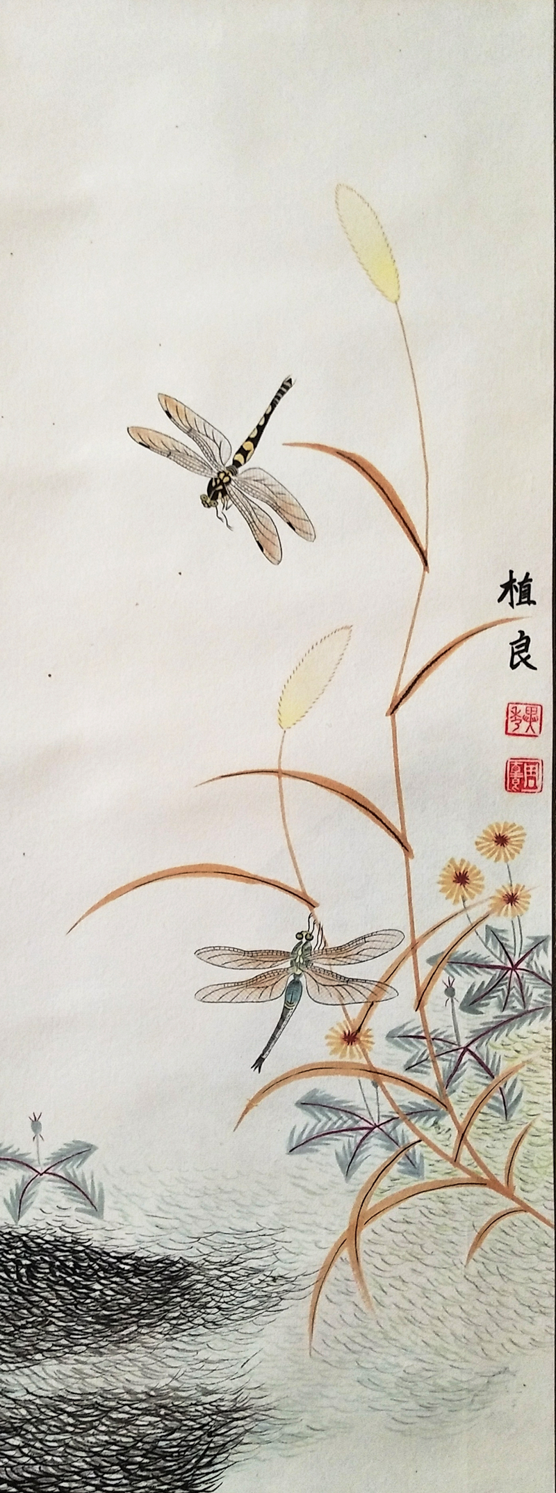 《蜻蜓》