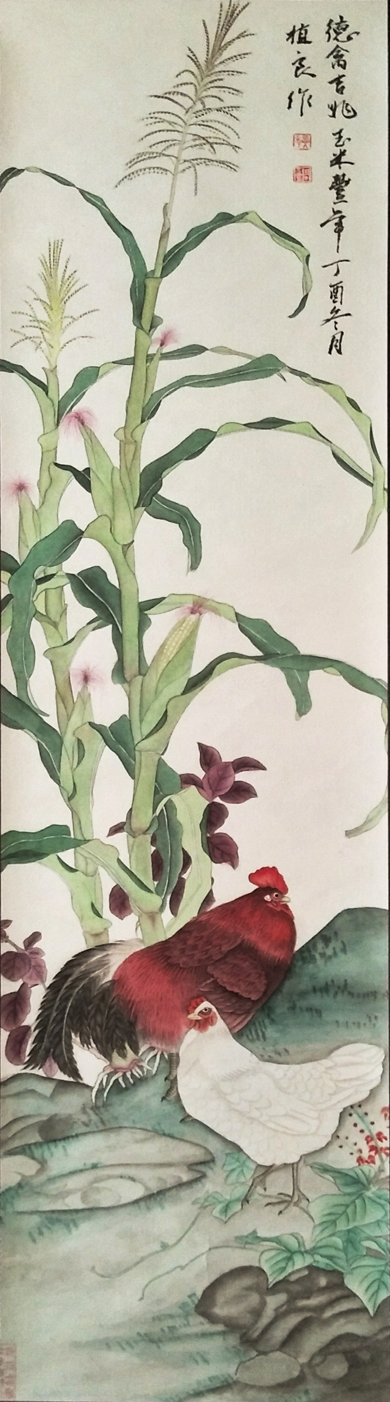 《玉米雄鸡》