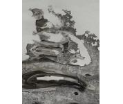 国画01