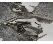 国画02