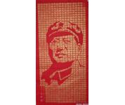 毛泽东肖像百寿图